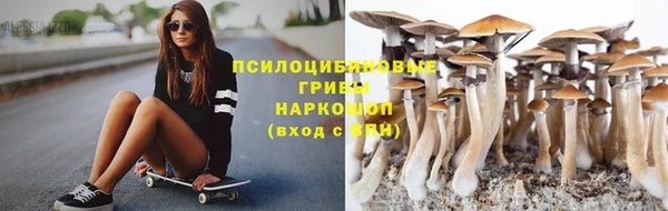 скорость Баксан