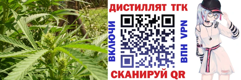 сколько стоит  Белореченск  Дистиллят ТГК гашишное масло 