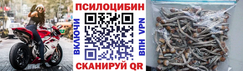 купить закладку  Белореченск  Псилоцибиновые грибы ЛСД 